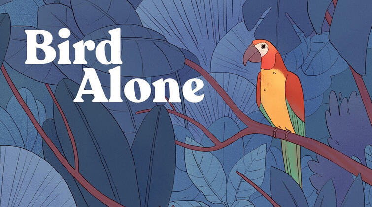 Bird Alone